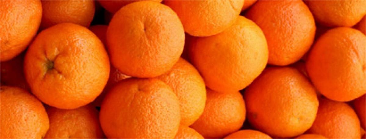 Sweetness of Sour Oranges